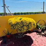 Nyaraló Guadalupe Moncófar