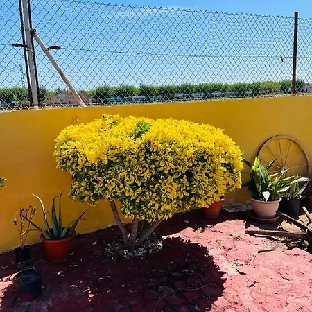 Dom wakacyjny Guadalupe Moncófar